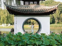 -陶然亭公园