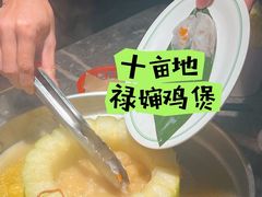 -禄婶鸡煲·打边炉