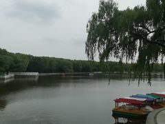 -北陵公园