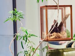 -一尺花园(安和花园店)