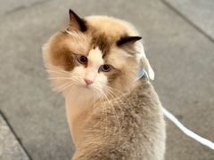 -瑞虹新天地月亮湾