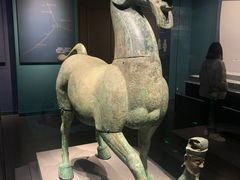 -广西壮族自治区博物馆