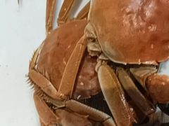 -半岛听涛蒸汽海鲜自助(K11店)