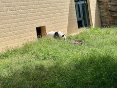 -石家庄市动物园