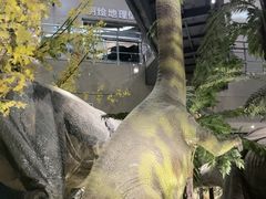 -湖南省地质博物馆