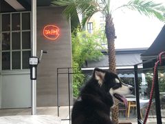 -the rug 飞毯 (朝阳公园店)