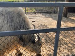 -长白岛森林公园