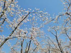 -龙美术馆(西岸馆)