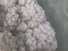 -东台吉乃尔湖