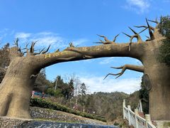 -梅岭月亮湾山体公园