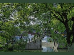 -江心屿景区