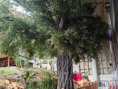 -中国第四纪冰川遗迹陈列馆