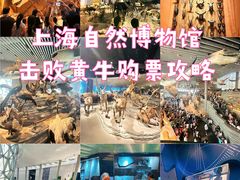-上海自然博物馆