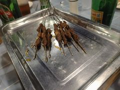 -福苗小骆驼烧烤(太奥广场店)