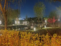 -渝乡辣婆婆·川菜 水煮鱼(中山西路店)