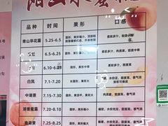 -老袁家蜜桃农场·阳山水蜜桃