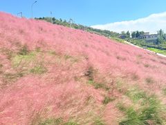 -沂蒙云瀑洞天景区