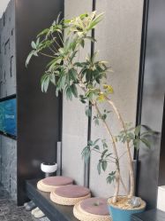 -欧兔博士·O2BOX微高压氧舱
