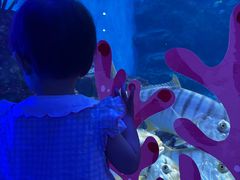 -海合安成都极地海洋公园