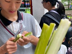 -黎里古镇