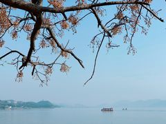 -东钱湖旅游度假区