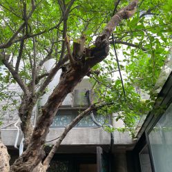点击看大图 -保丽宝泰母婴护理院·月子中心·产康·中医(常州店)
