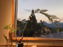 -宴武夷·匠心闽味(印象大红袍店)