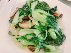 -新聚丰菜馆(太监弄店)