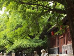 -晋祠博物馆