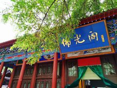-高庙保安寺