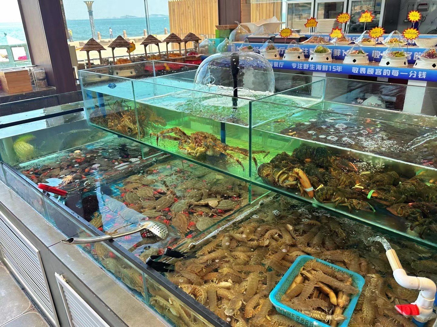 99 烟台海鲜城——味蕾的海洋之旅 99