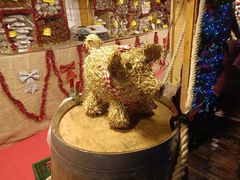 -布鲁塞尔大广场