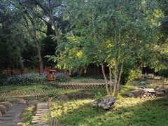 -黑龙江省森林植物园