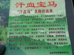 -武清南湖绿博园