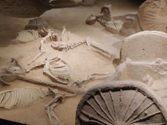 -洛阳周王城天子驾六博物馆