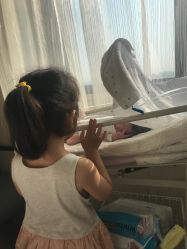 -上海艾儿贝佳妇产科医院