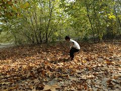 -汉长安城未央宫国家考古遗址公园