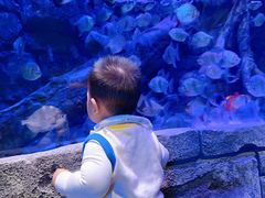 -沈阳海洋探索中心