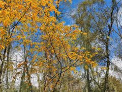 -叠溪松坪沟景区