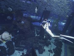 -哈尔滨波塞冬海底世界