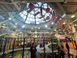 -嗨翻Hi-Fun竞技主题乐园·蹦床团建生日聚会(五棵松华熙店)
