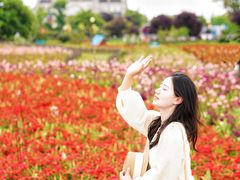 -荷兰花海
