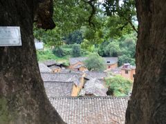-杨家堂村