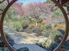 -杭州植物园