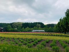 -富田农场