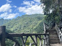 -千岛湖石林