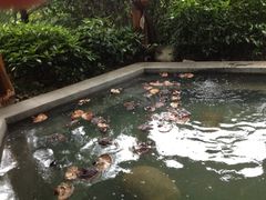 iphone_upload_pic-苏州环秀晓筑养生度假村