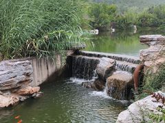 -静之湖湖畔餐厅