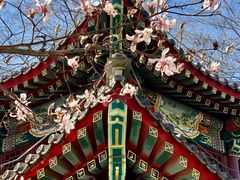 -近春园遗址