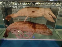 -大连自然博物馆·地球展厅